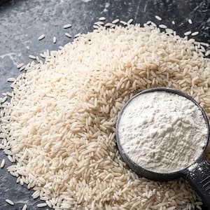 rice protein powder